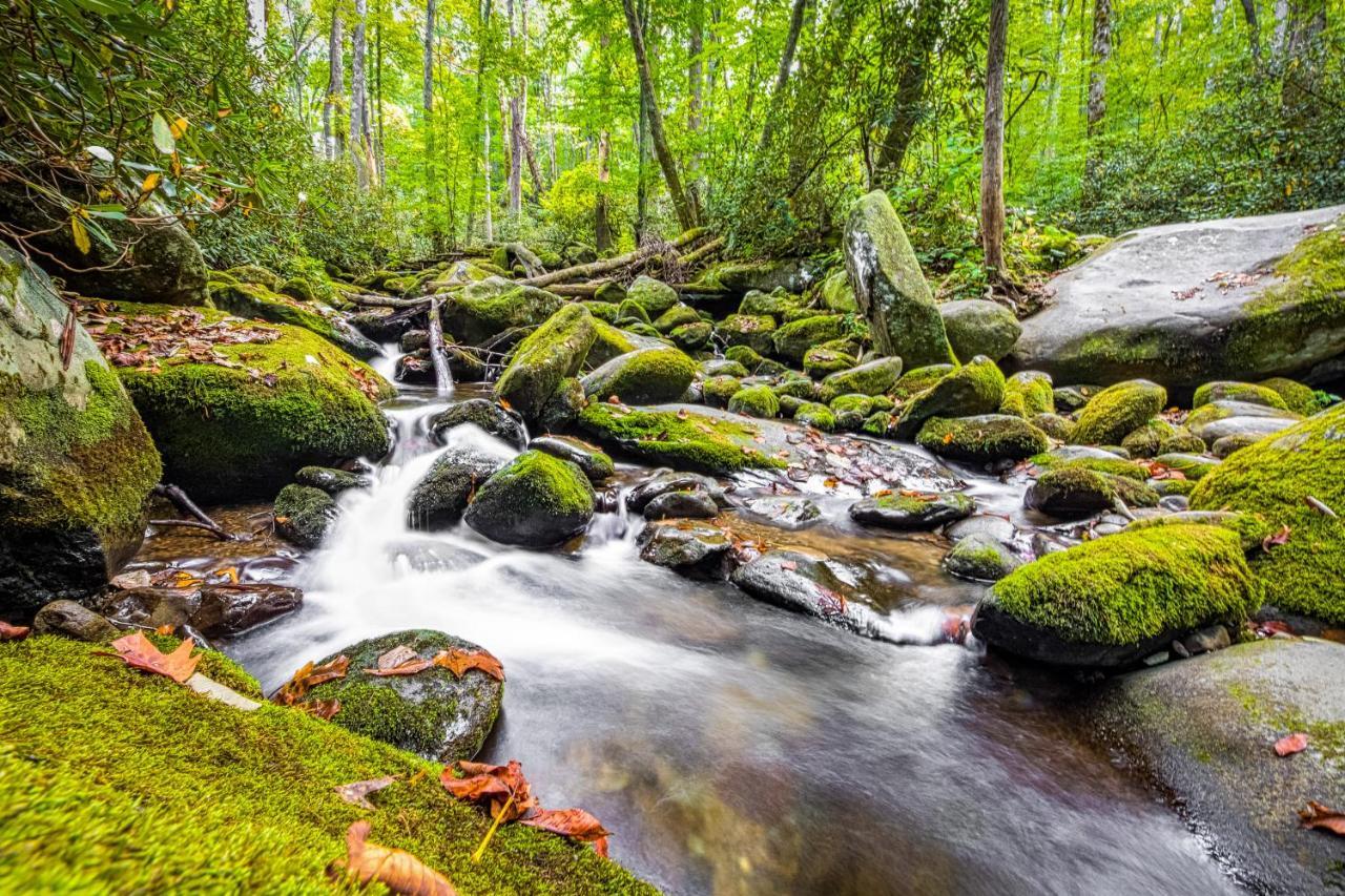 Vista Point Villa Pigeon Forge Dış mekan fotoğraf